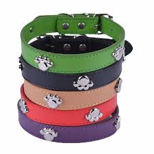 Collares para mascotas