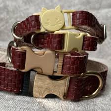 Collares para gato