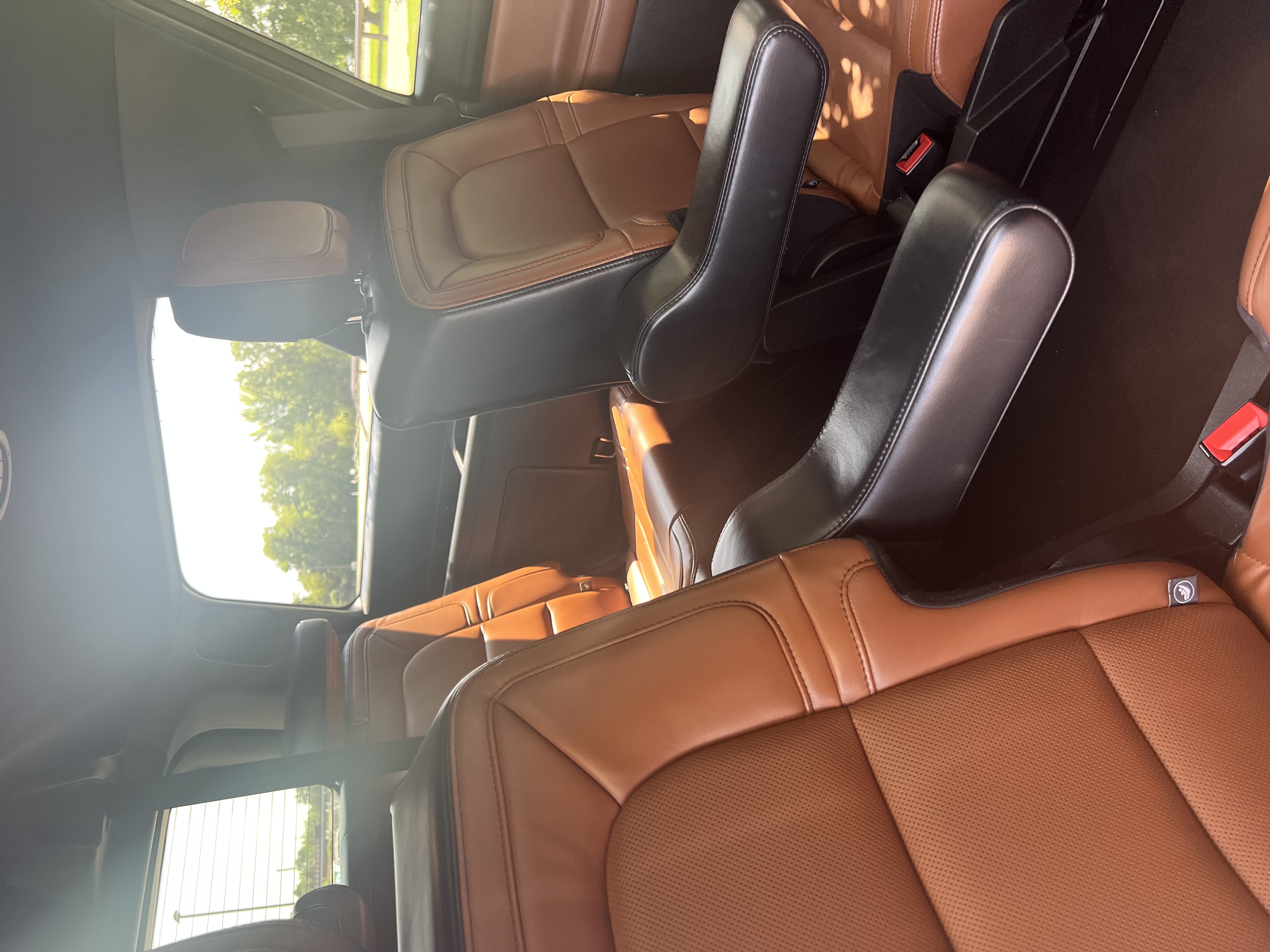 Trips to Houston , Austin and Louisana