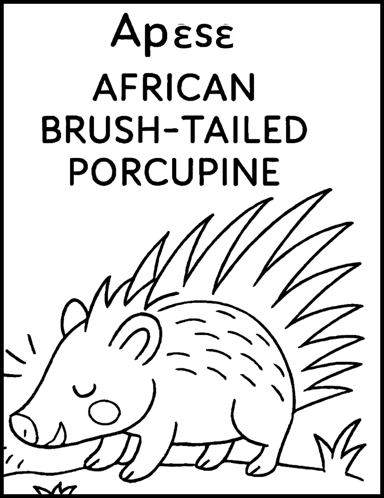 Twi English Bilingual Animal Coloring book 