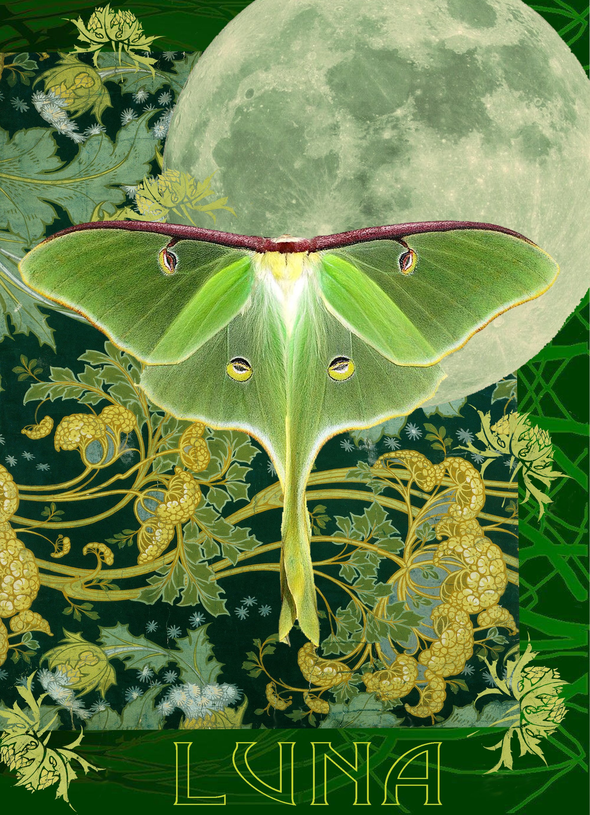 Luna Moth Art Print