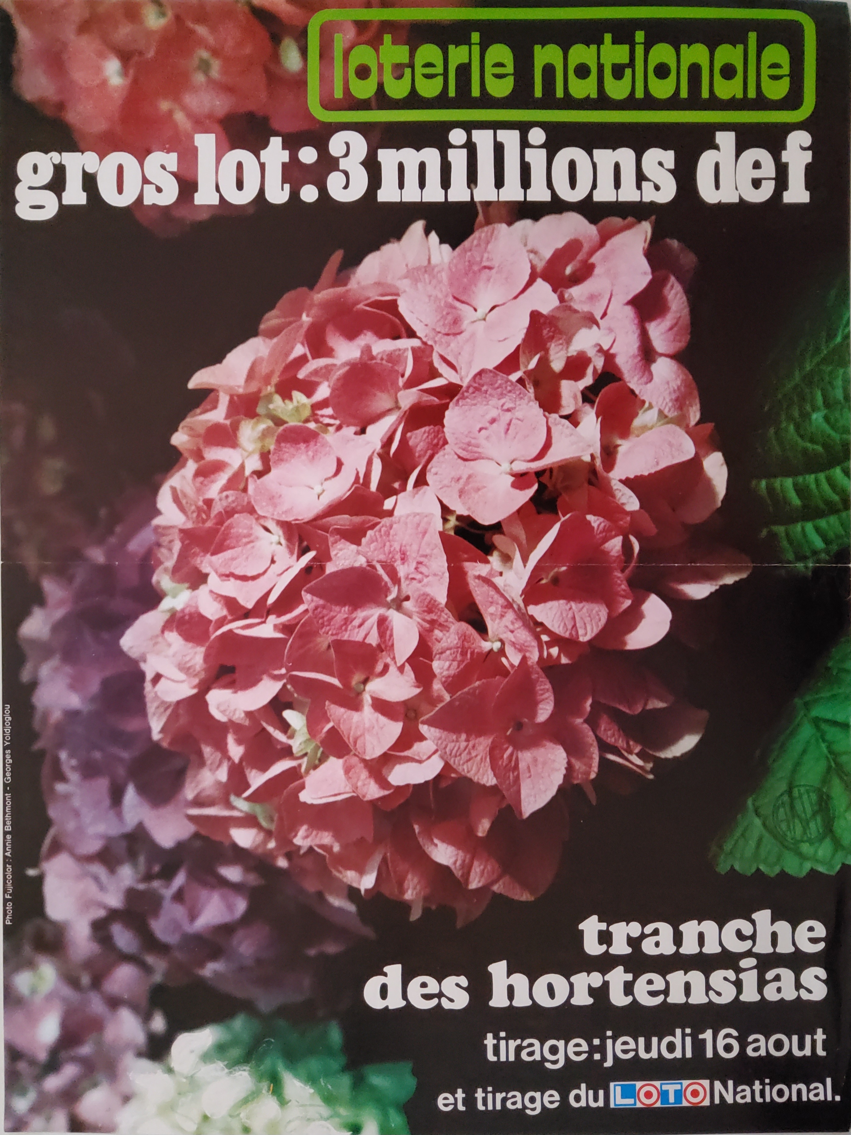 Loterie nationale - Tranche les hortensias - 16 août