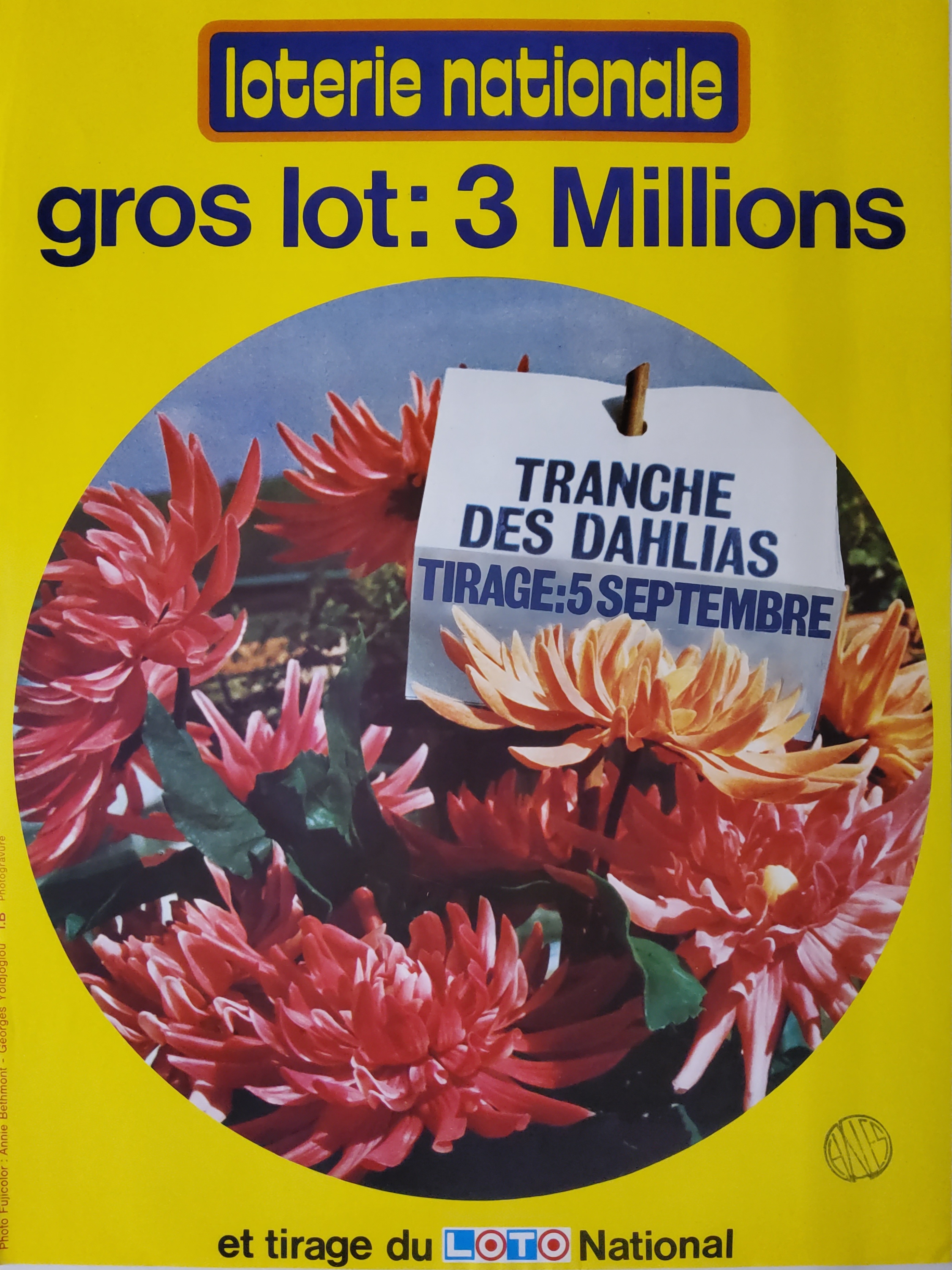 Loterie nationale - Tranche des dahlias - 5 septembre