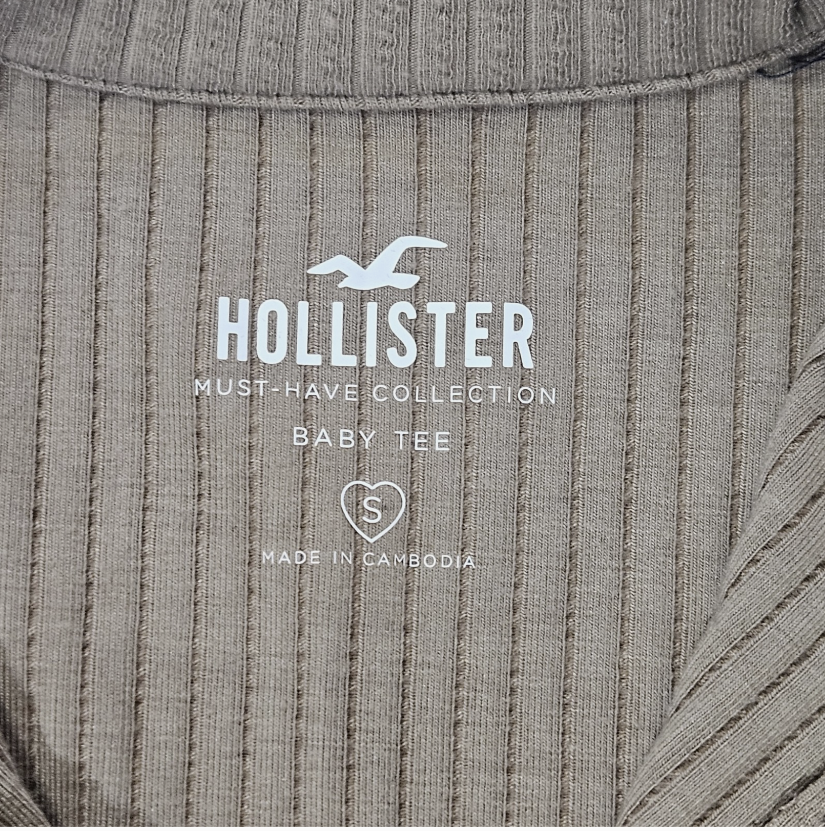 Hollister Baby Tee Womens Small Tan Ribbed Crop Top Stretch Must Have Collection Top