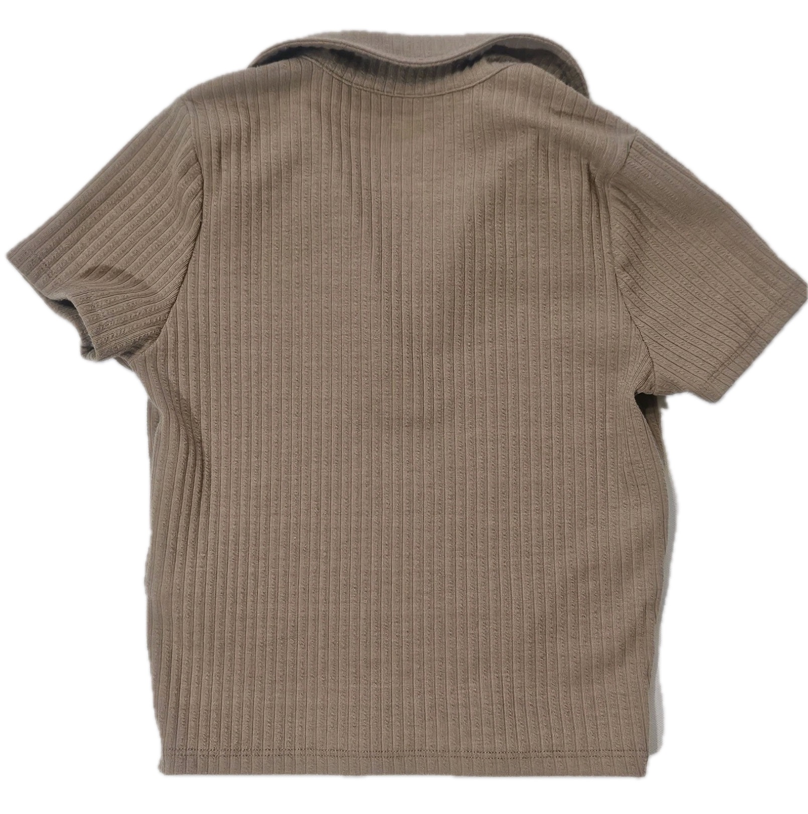 Hollister Baby Tee Womens Small Tan Ribbed Crop Top Stretch Must Have Collection Top