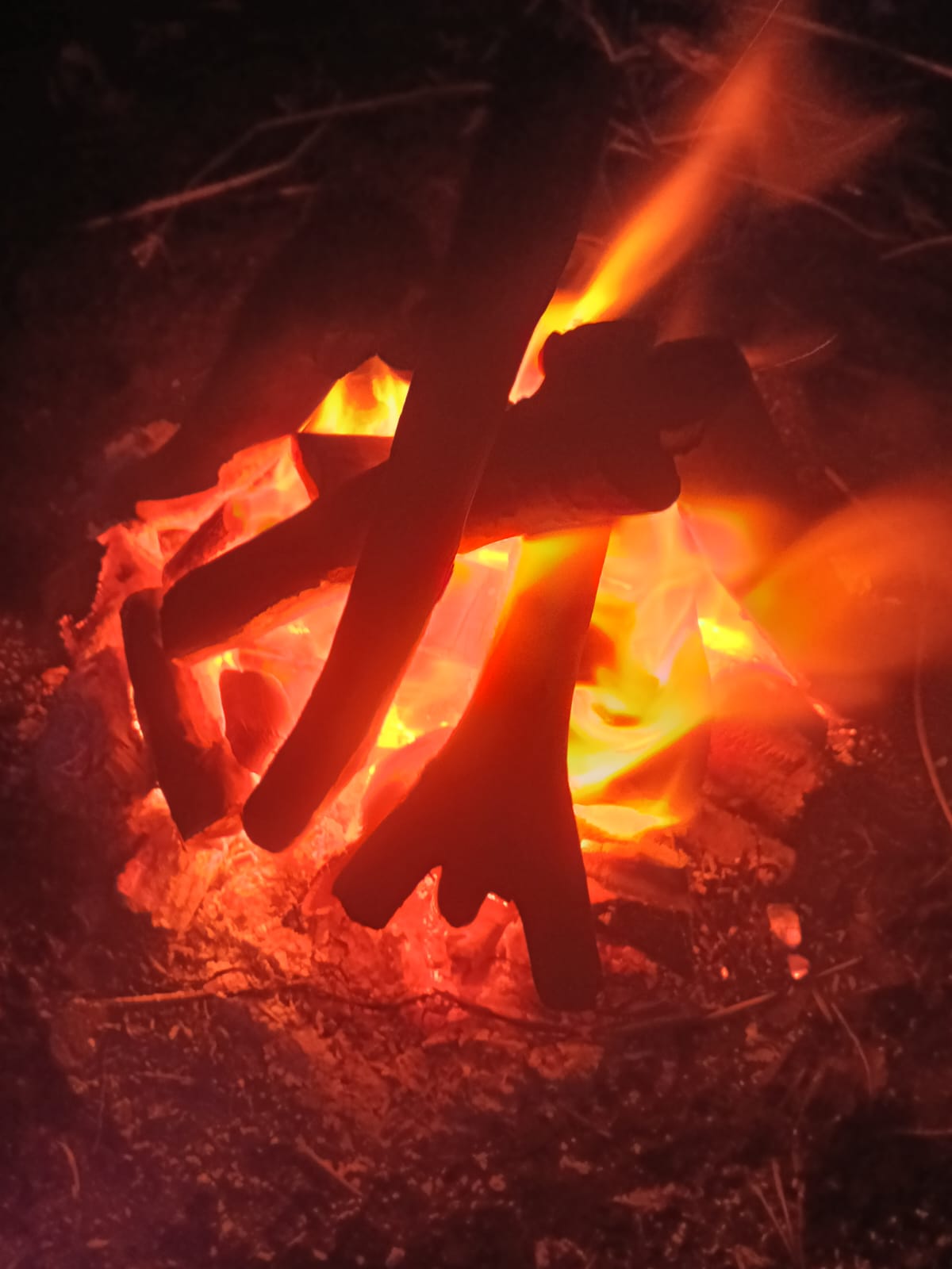 فحم برتقال عالي الكفائة