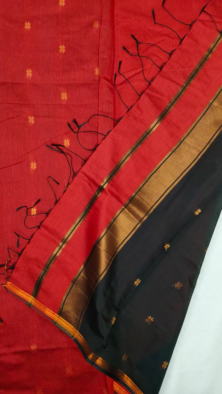 Traditional Cotton Saree