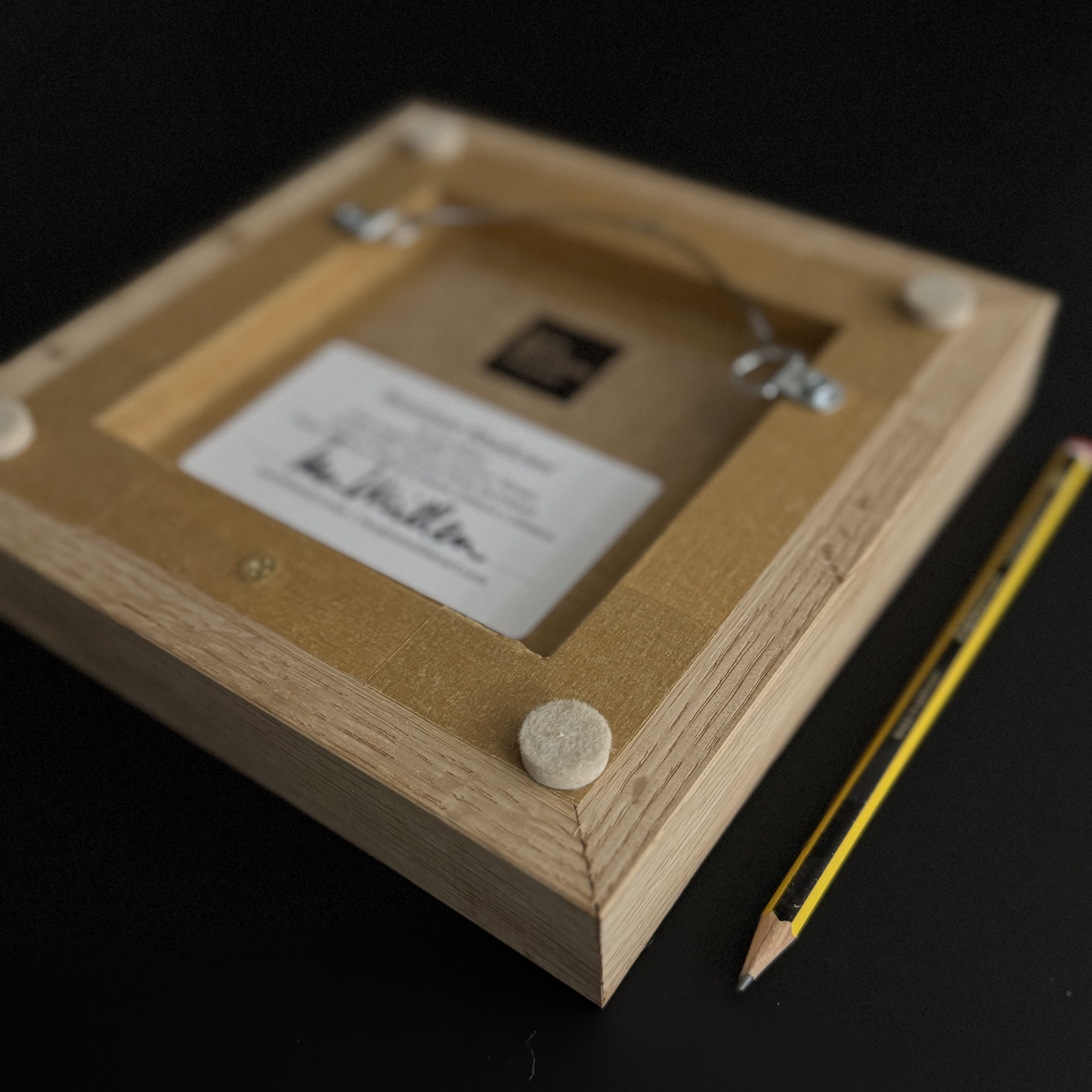 'The Rain's Evening Reflection'