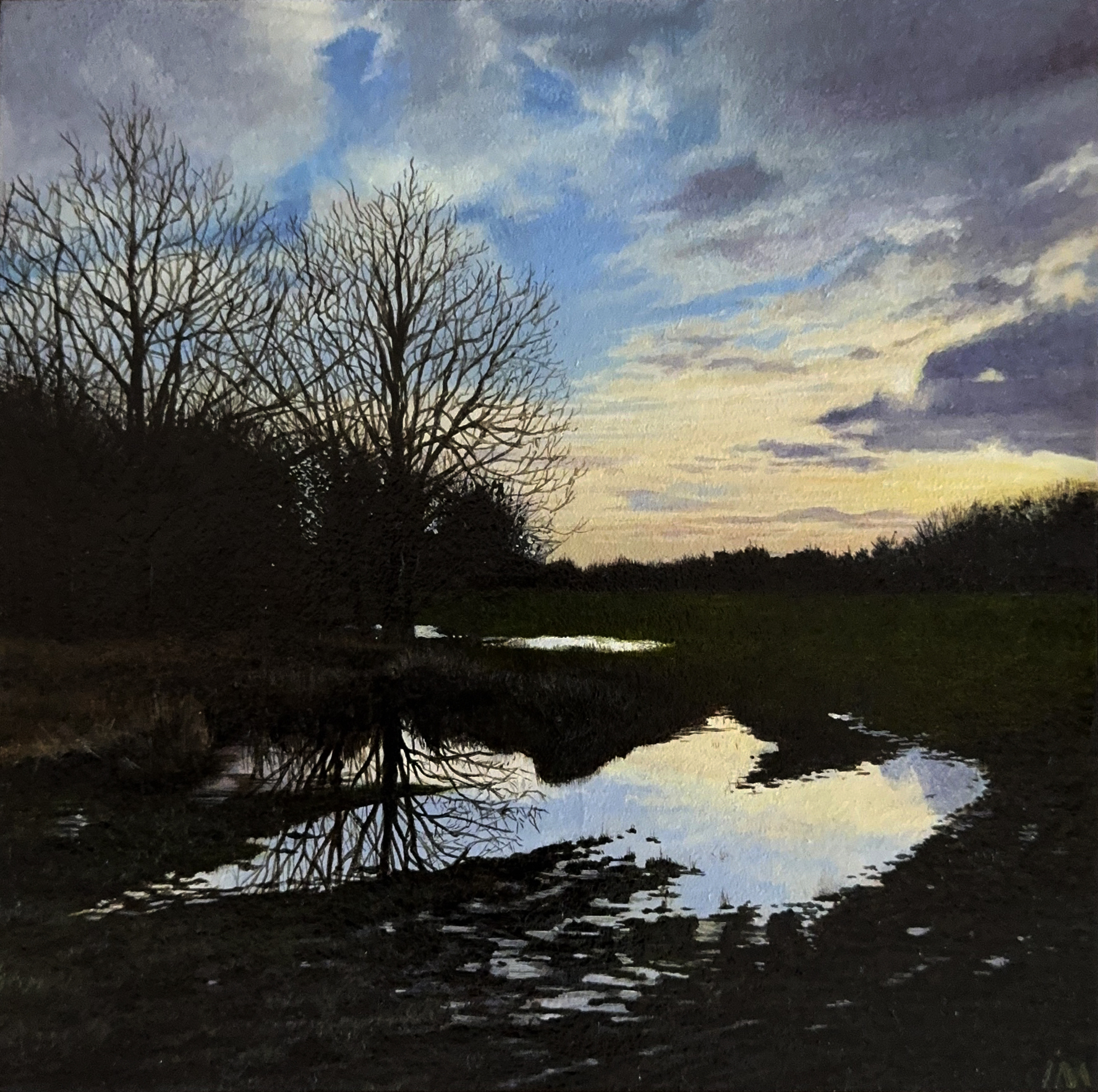 'The Rain's Evening Reflection'