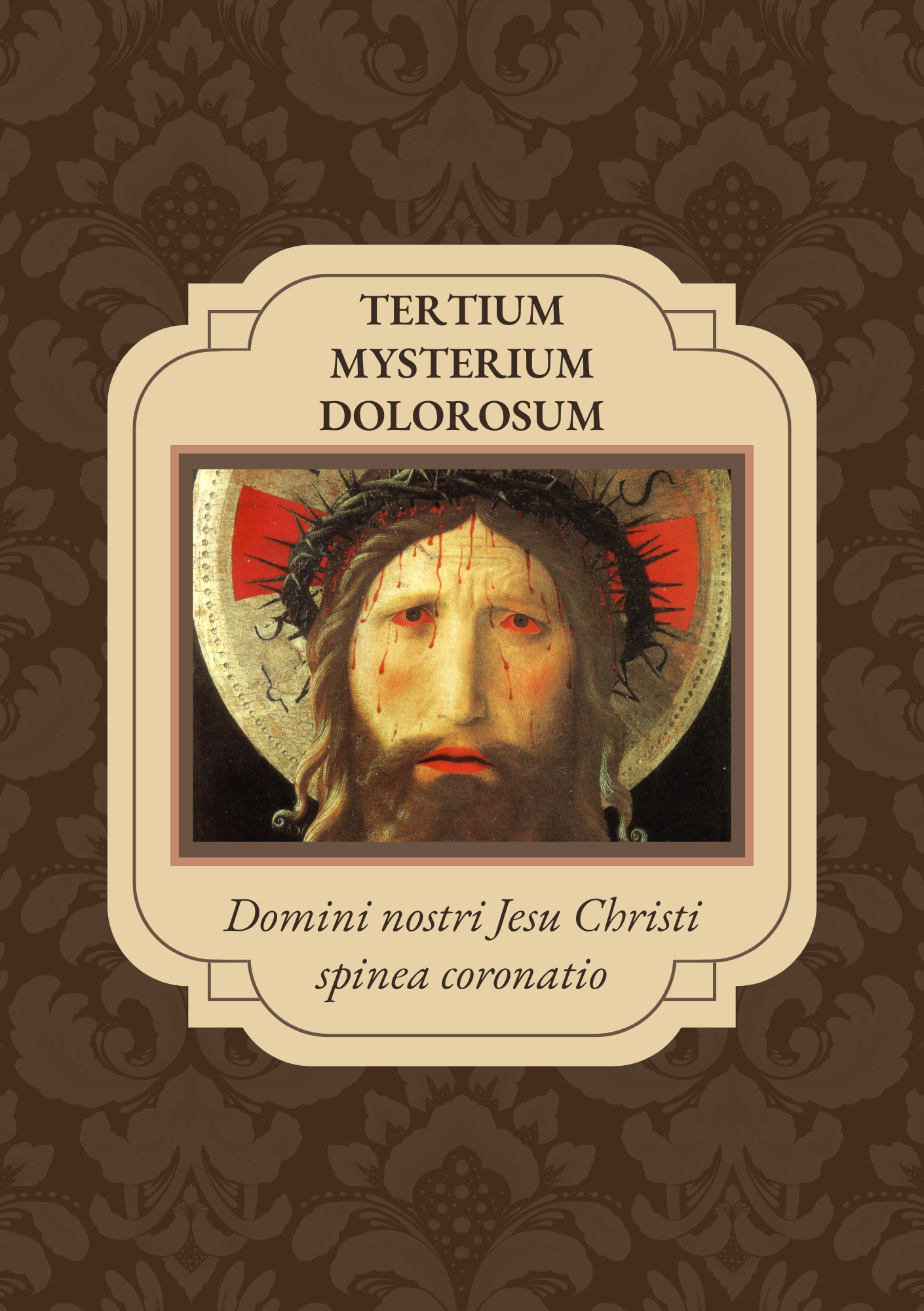 Rosário Meditado em Latim