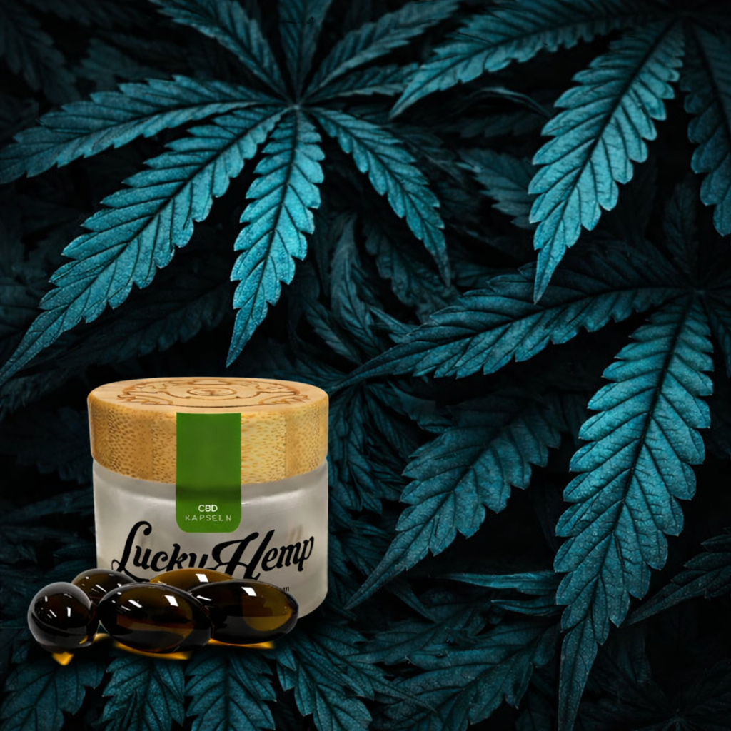 CBD Kapseln 79% CBD