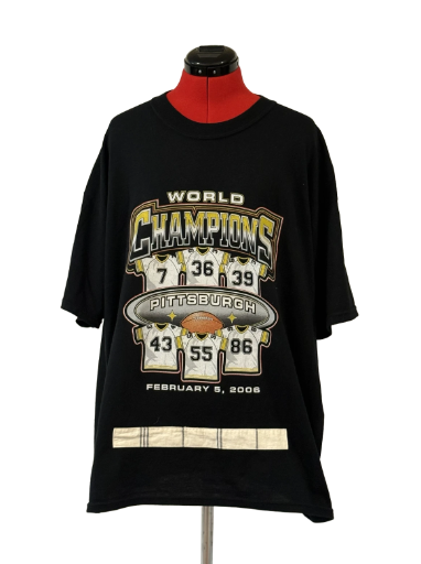 Pittsburgh World Champions T-Shirt