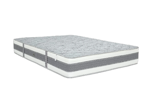 Biopedic Mattress