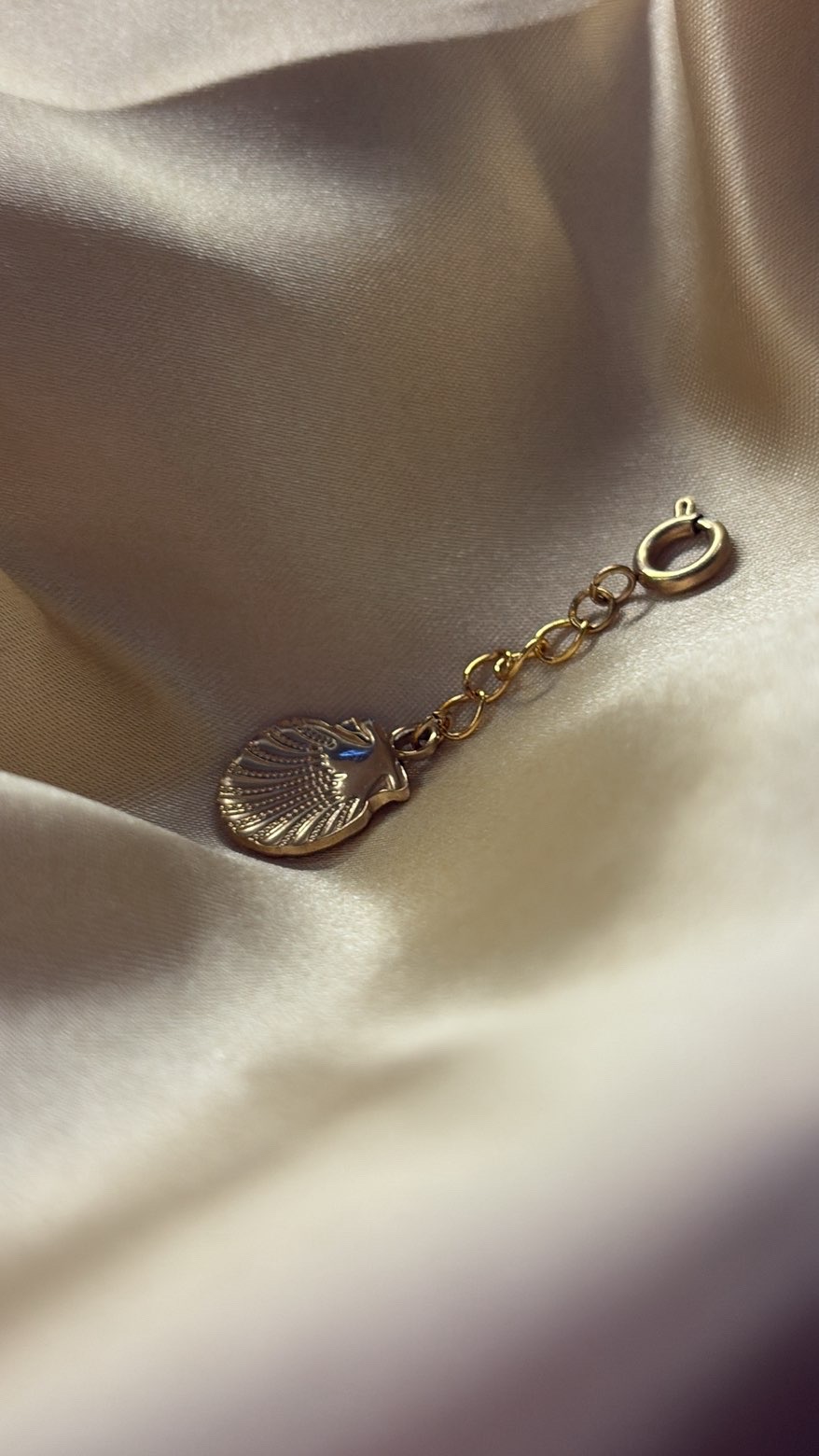 Éclat Saint-Jacques