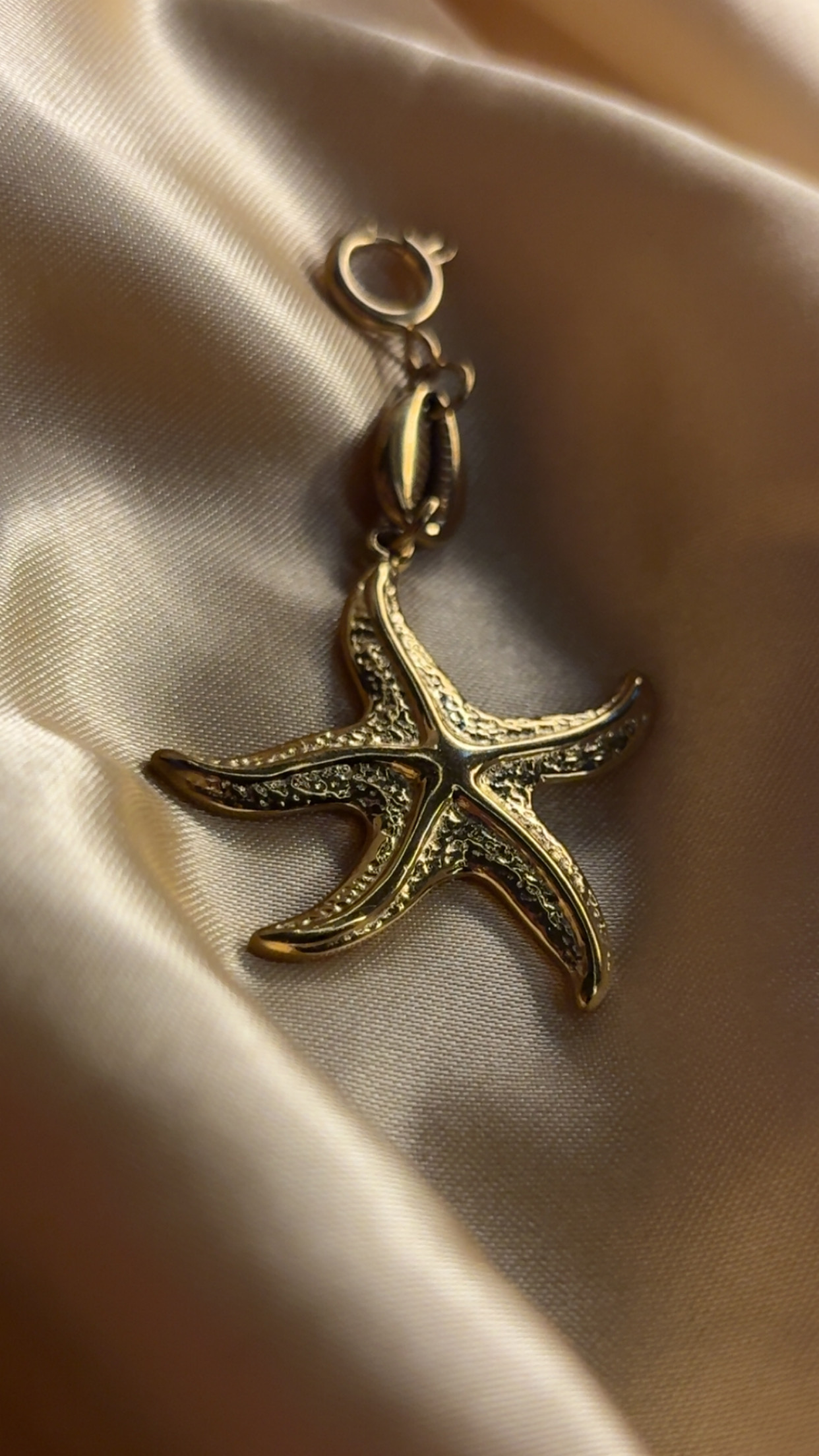 charm étoile de mer 
