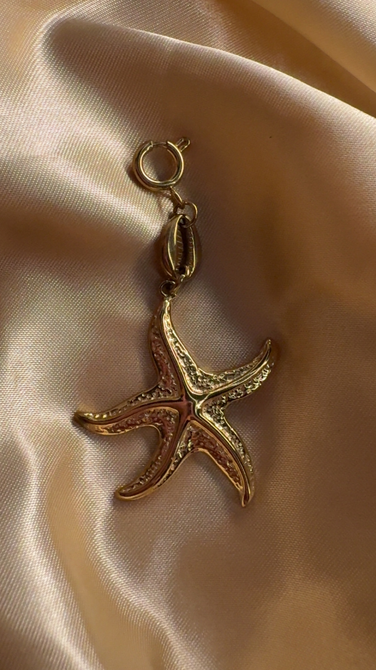 charm étoile de mer 