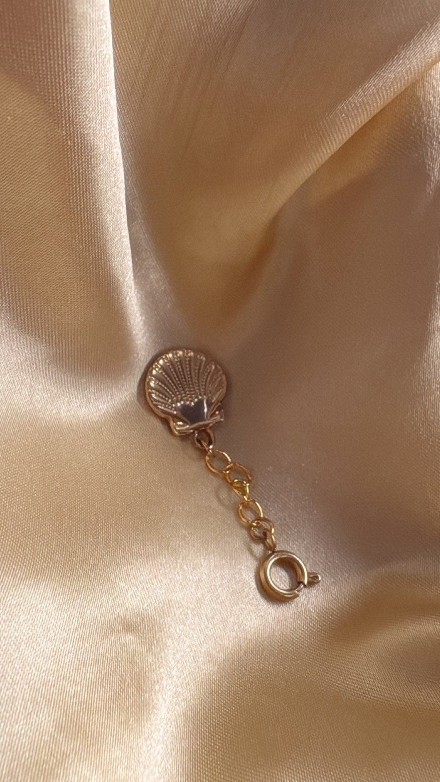 Éclat Saint-Jacques