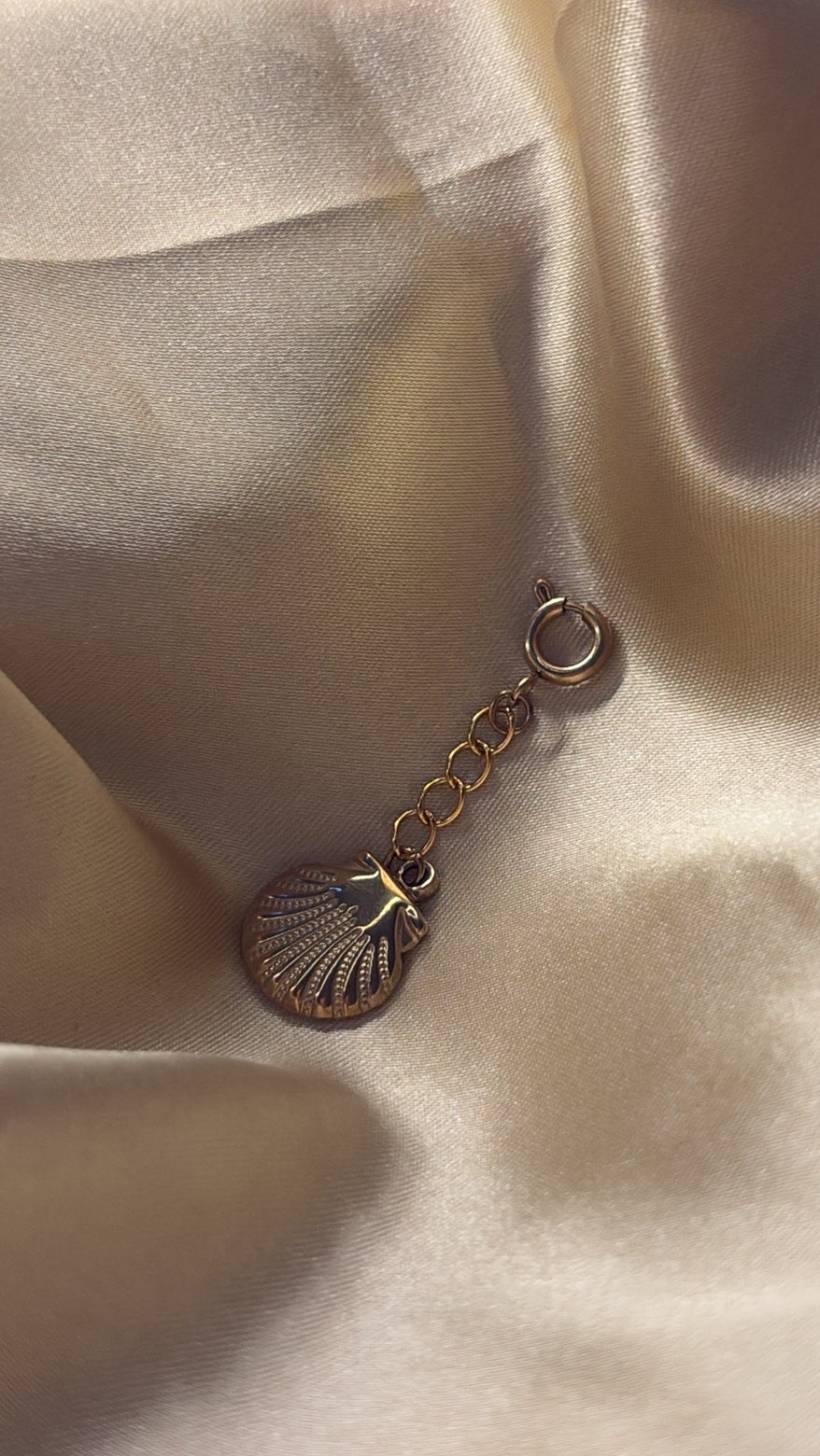 Éclat Saint-Jacques