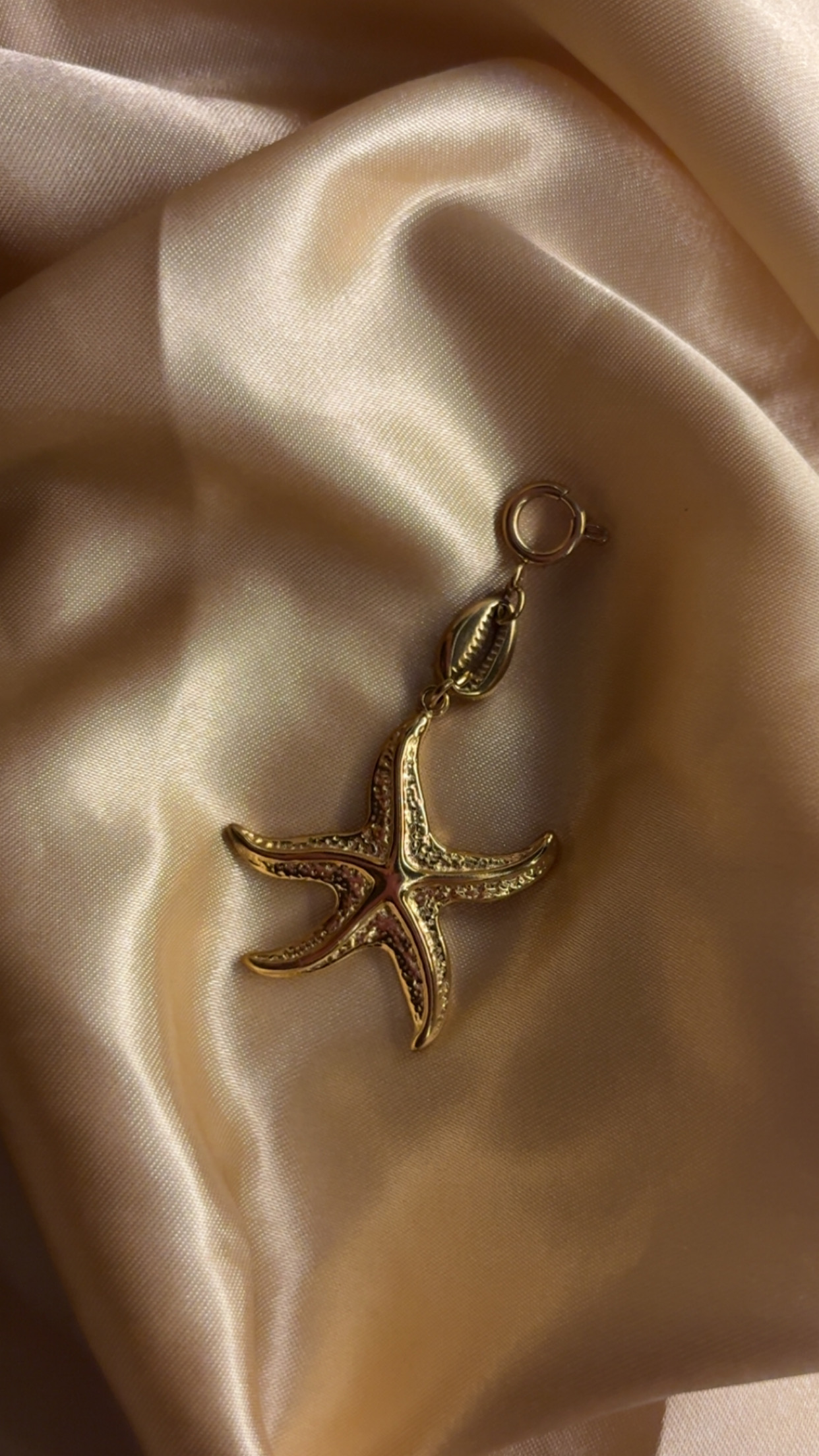 charm étoile de mer 
