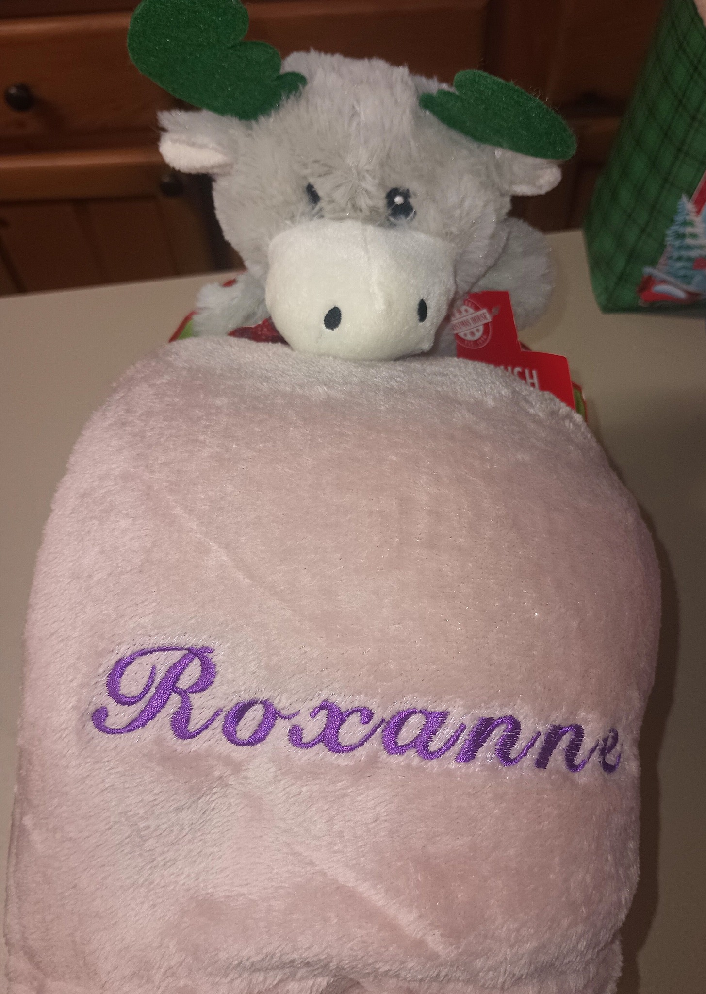 Personalized Plush Blanket with Moose Toy