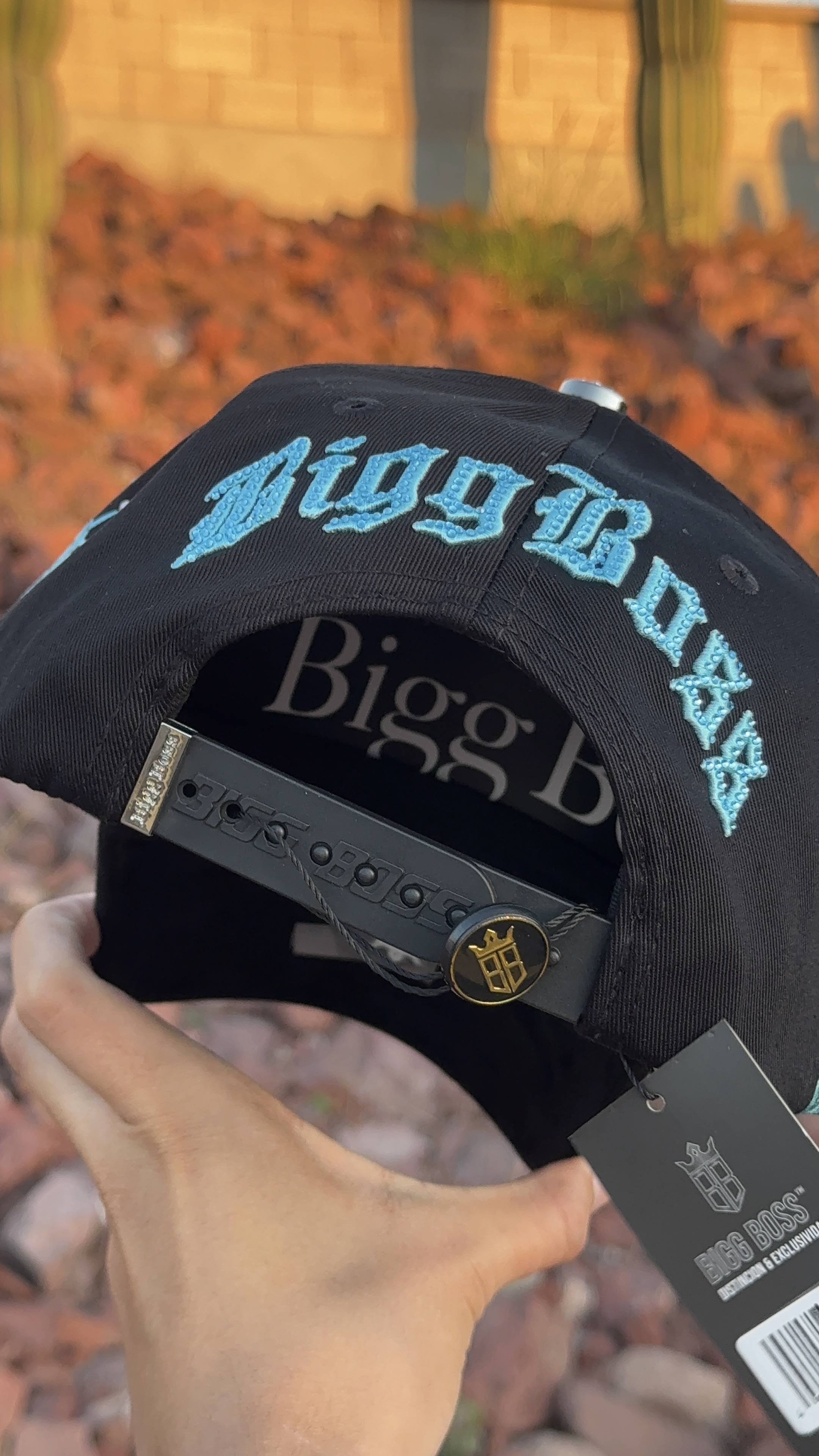 New York Yankees Bigg Boss 