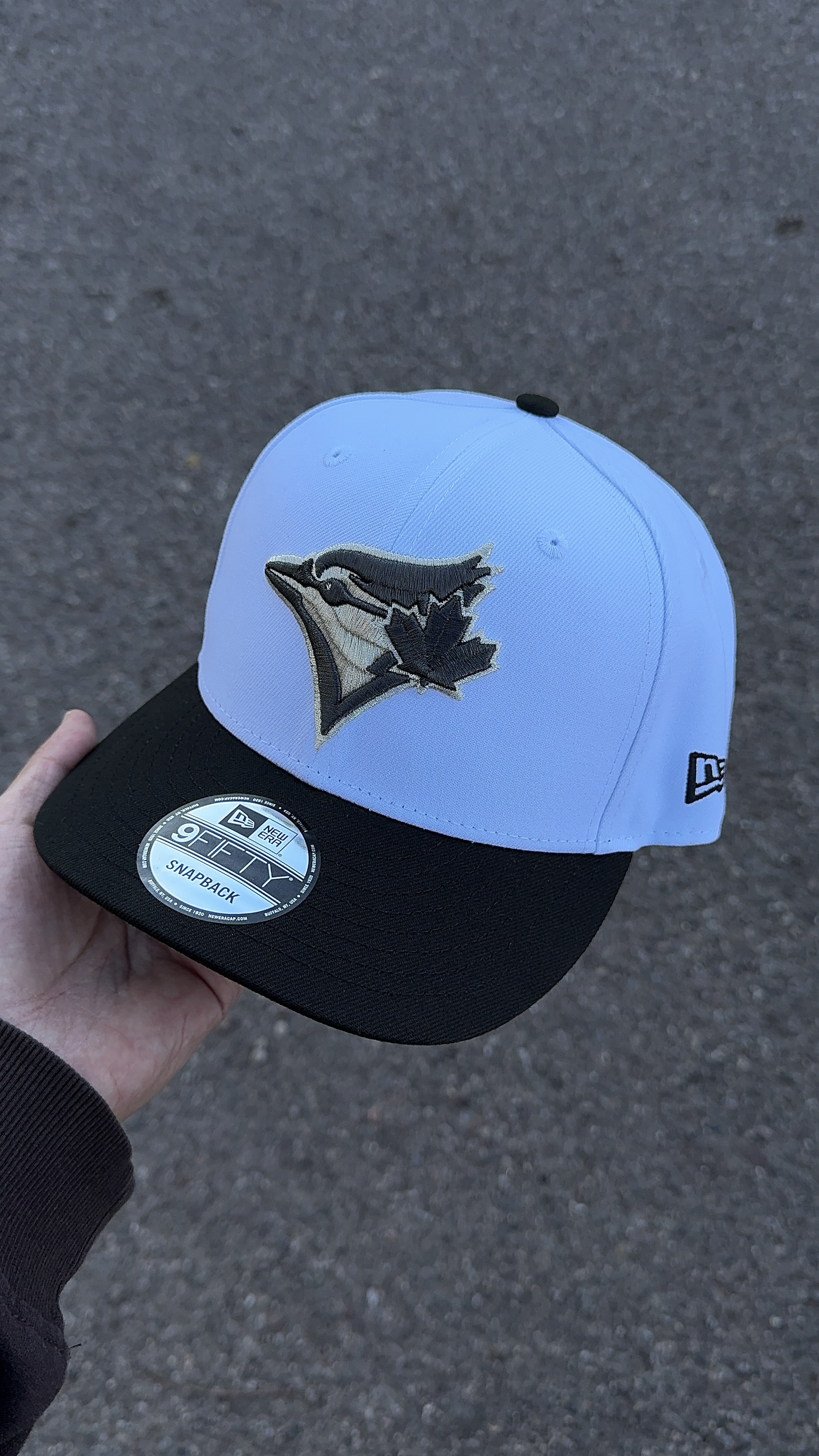 Toronto Blue Jays 30th Season 9fifty Snapback