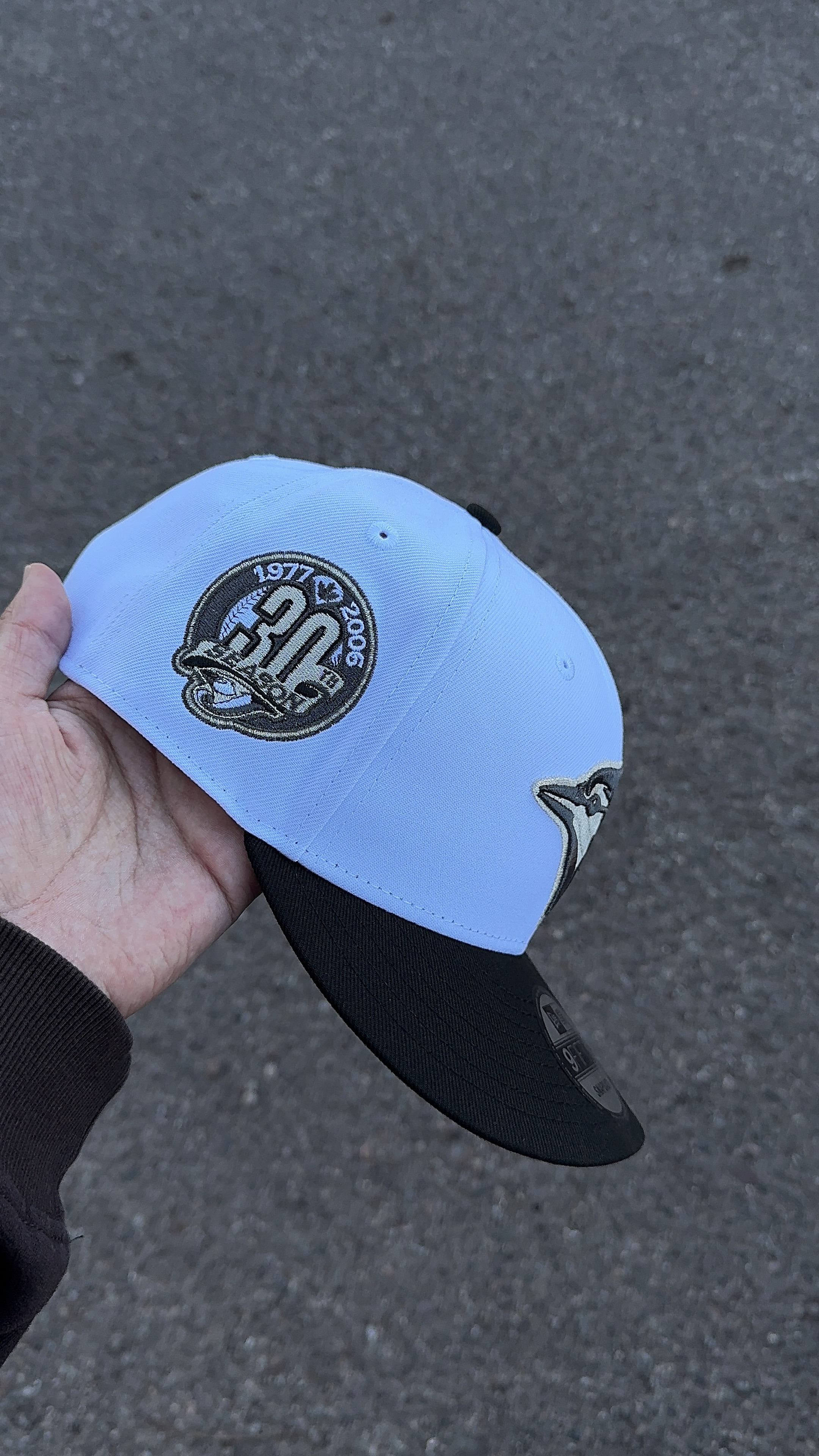 Toronto Blue Jays 30th Season 9fifty Snapback