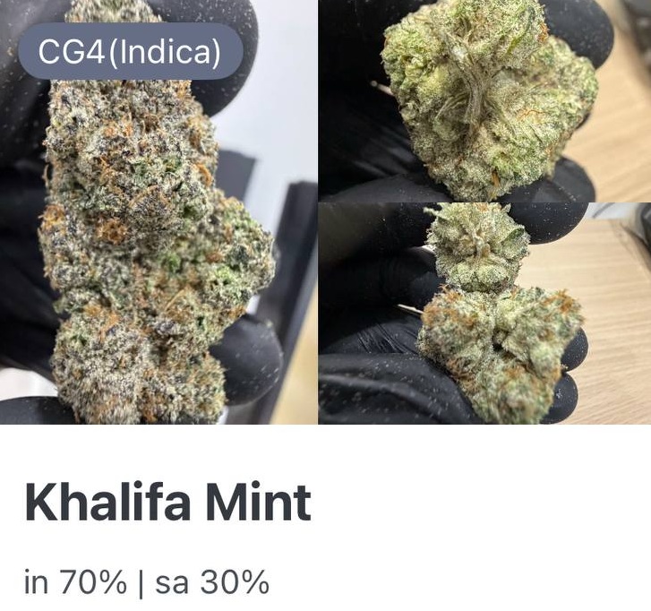Khalifa Mint (10g)