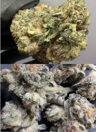 Ice Cream Cake (10g)