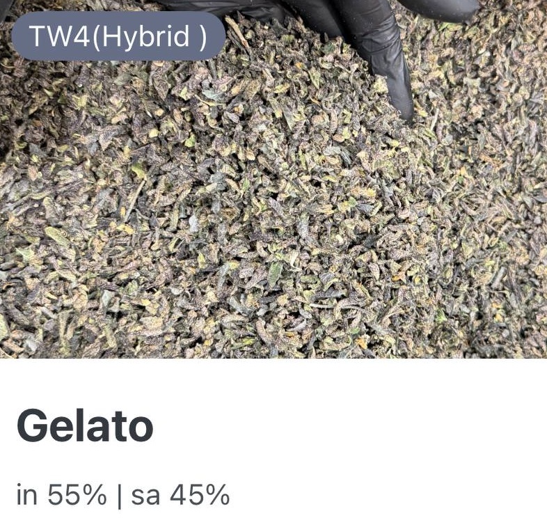 Gelato Authentic (50g) 