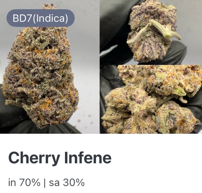 Cherry Infene (10g)