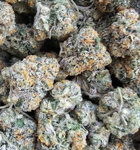 Lemon Pound Cake (20g)