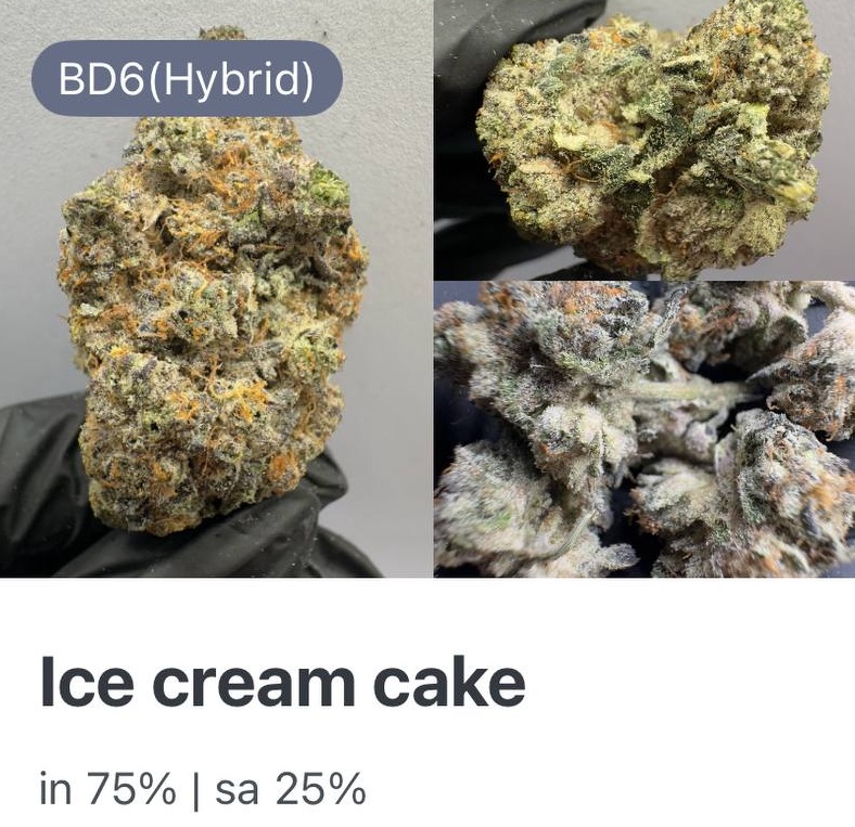 Ice Cream Cake (10g)