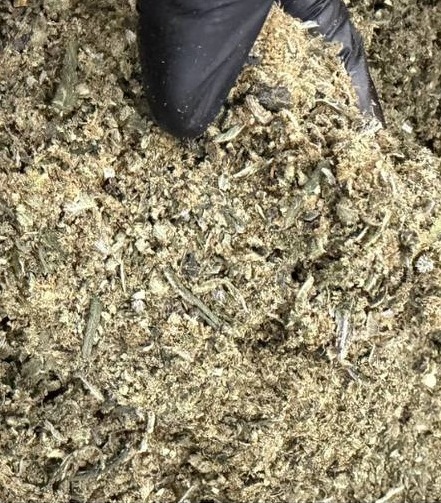 Wedding Cake, smoothy (50g)