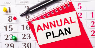 Annual Plan Organizer