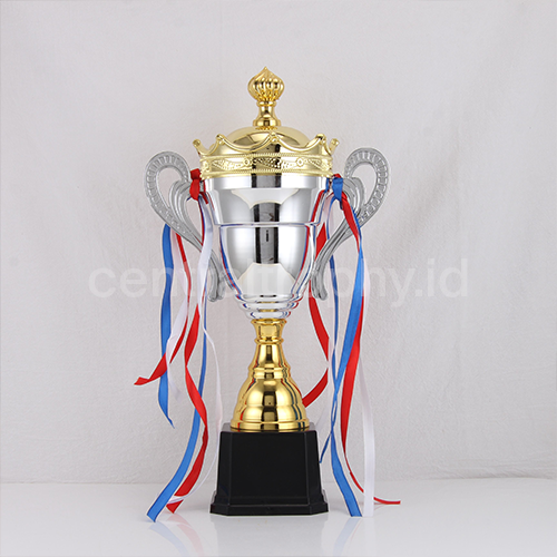 Trophy Cup 04