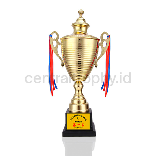 Trophy Cup 06