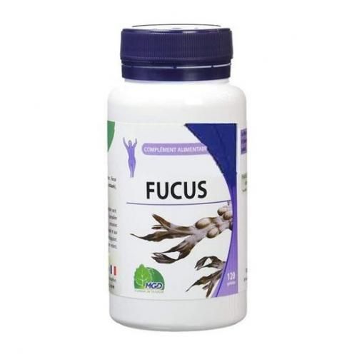 Fucus
