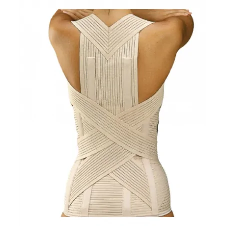 Ceinture Dorsolombaire