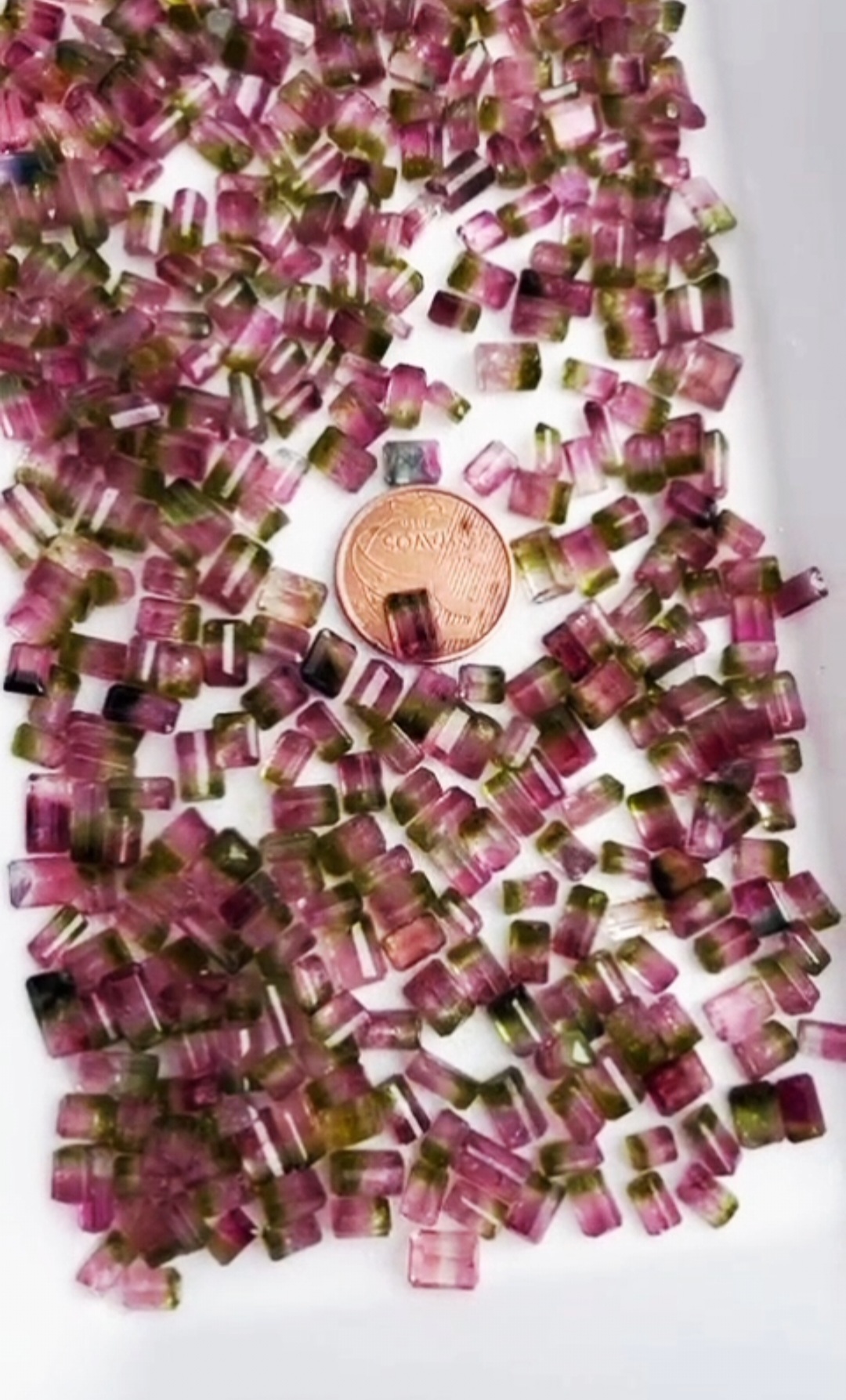 Turmalinas bicolores