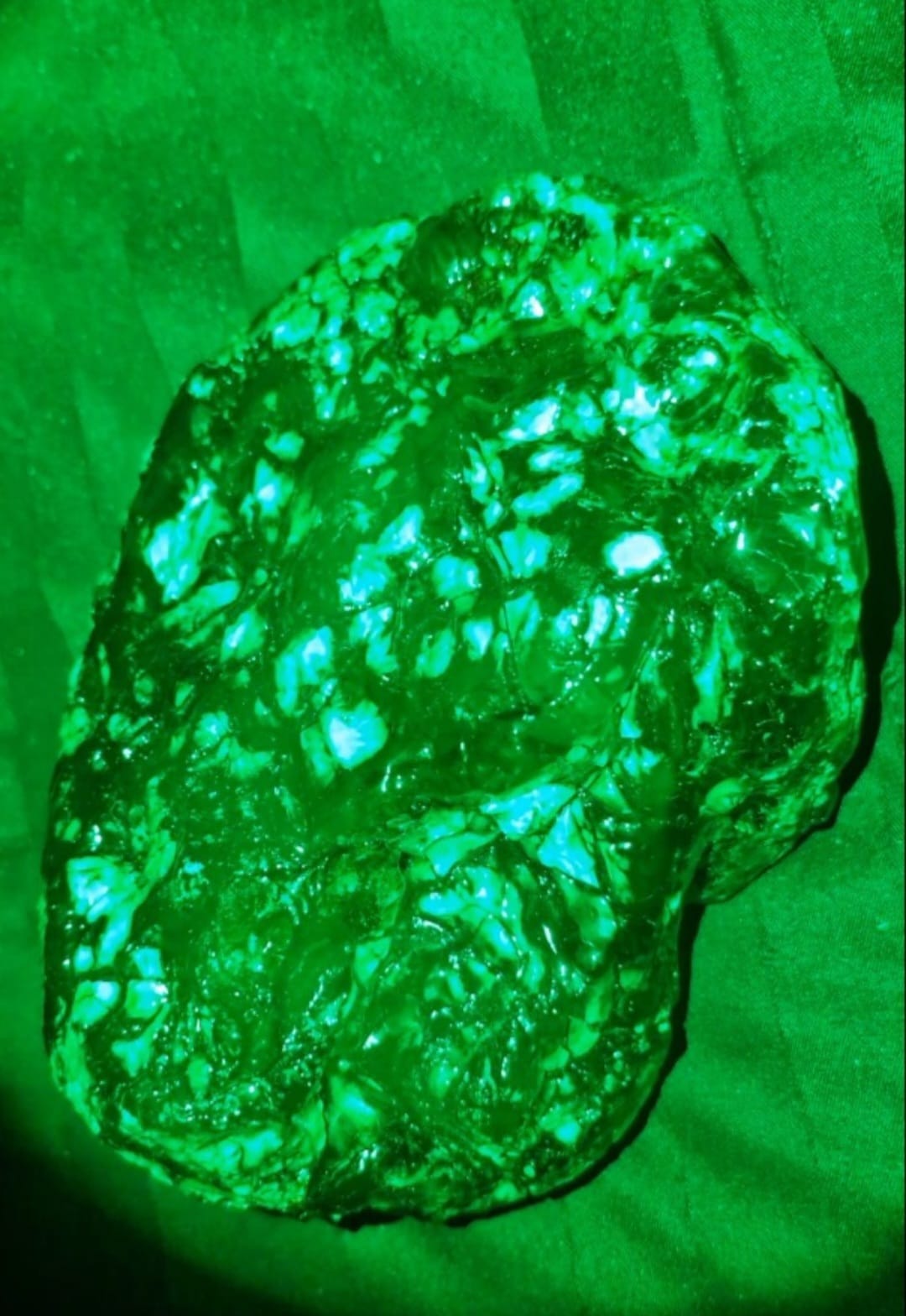 Âmbar com inseto fossilizado