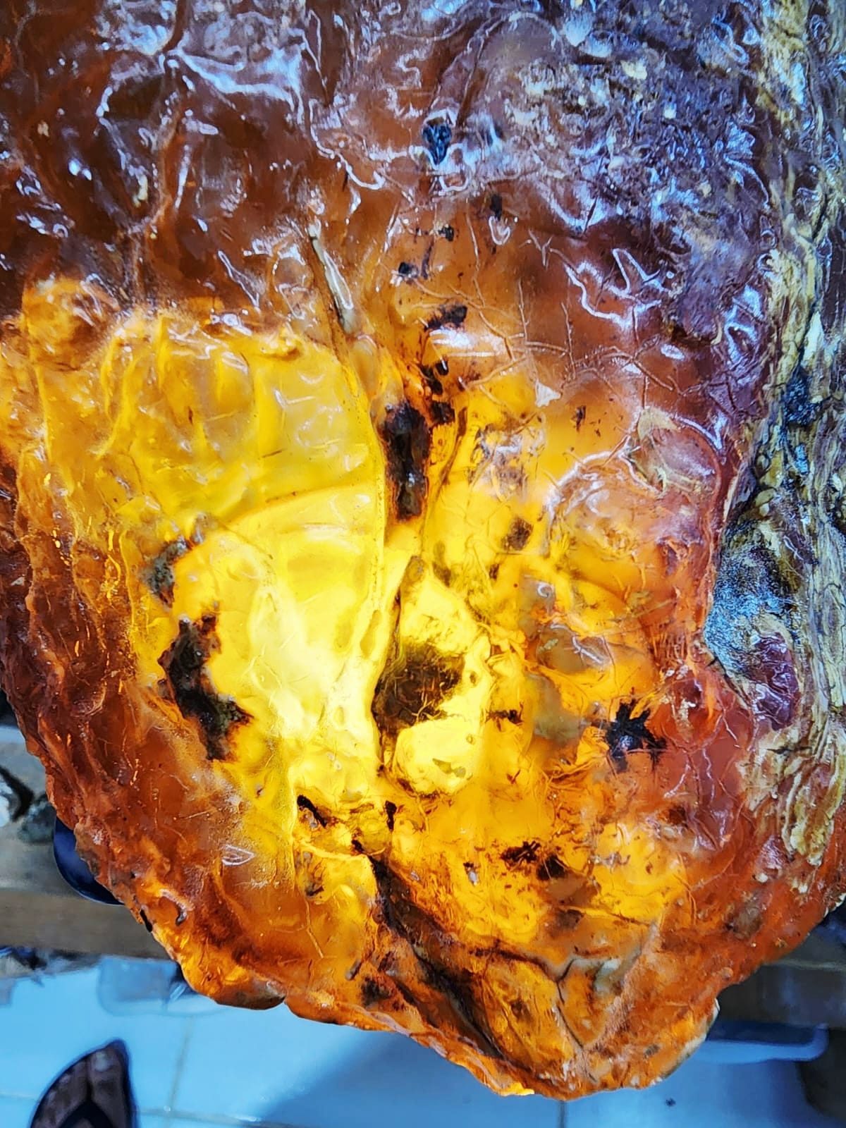 Âmbar com inseto fossilizado