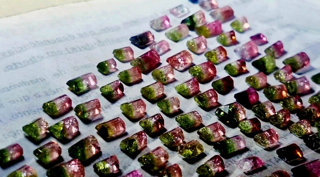 Turmalinas bicolores