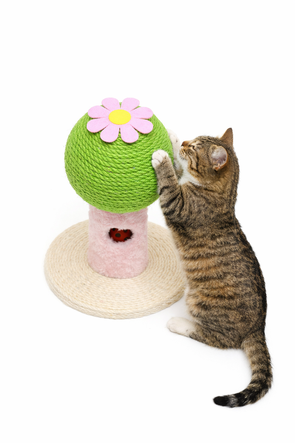 Rascador en forma de árbol para gatos