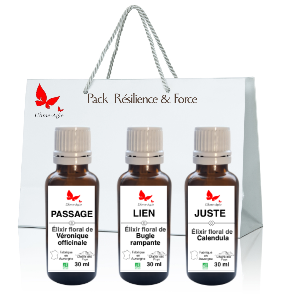 A Fleurs d'Être - Pack Résilience & Force par L'Âme-Agie