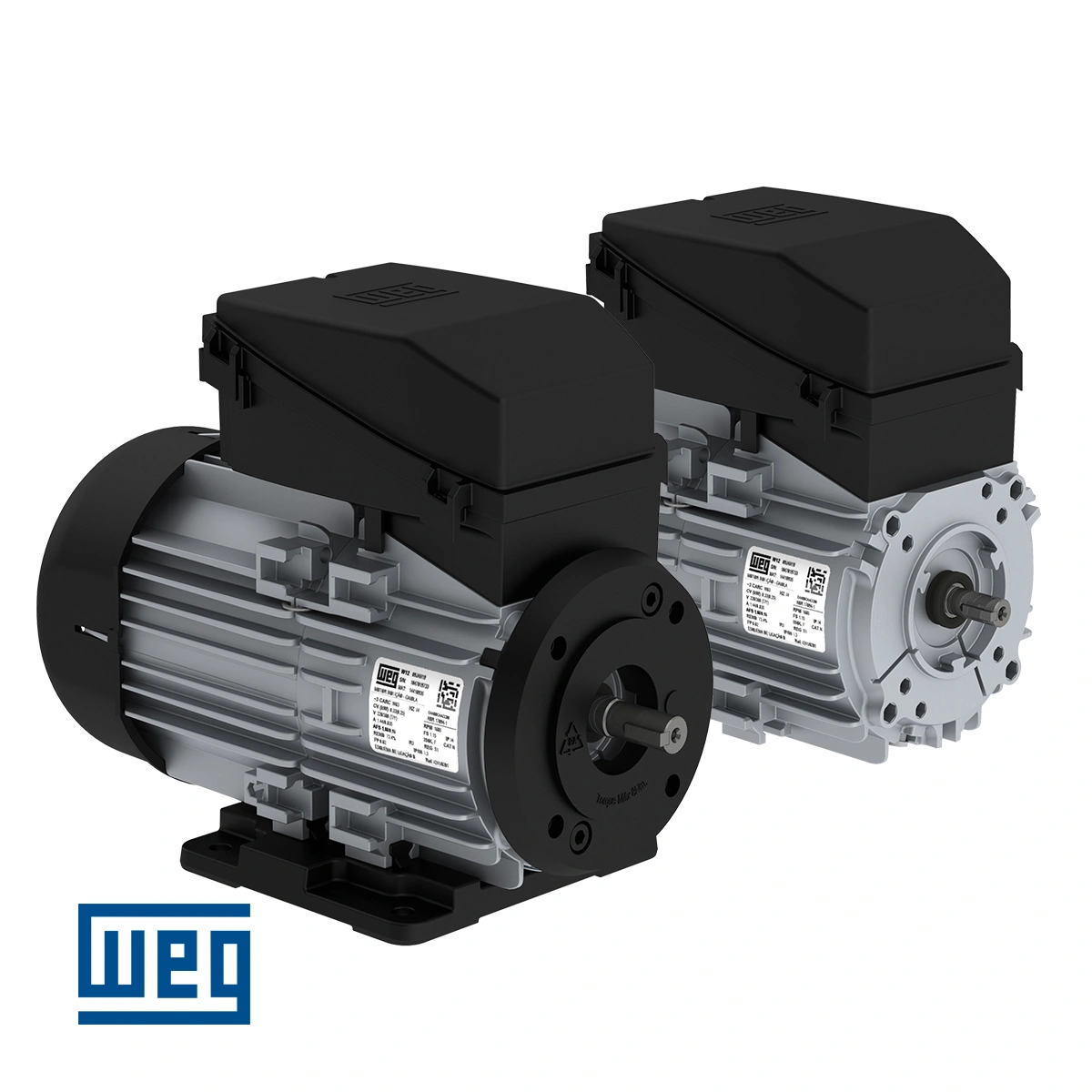 Μονοφασικοί Ηλεκτροκινητήρες χαμηλής τάσης IEC - WEG