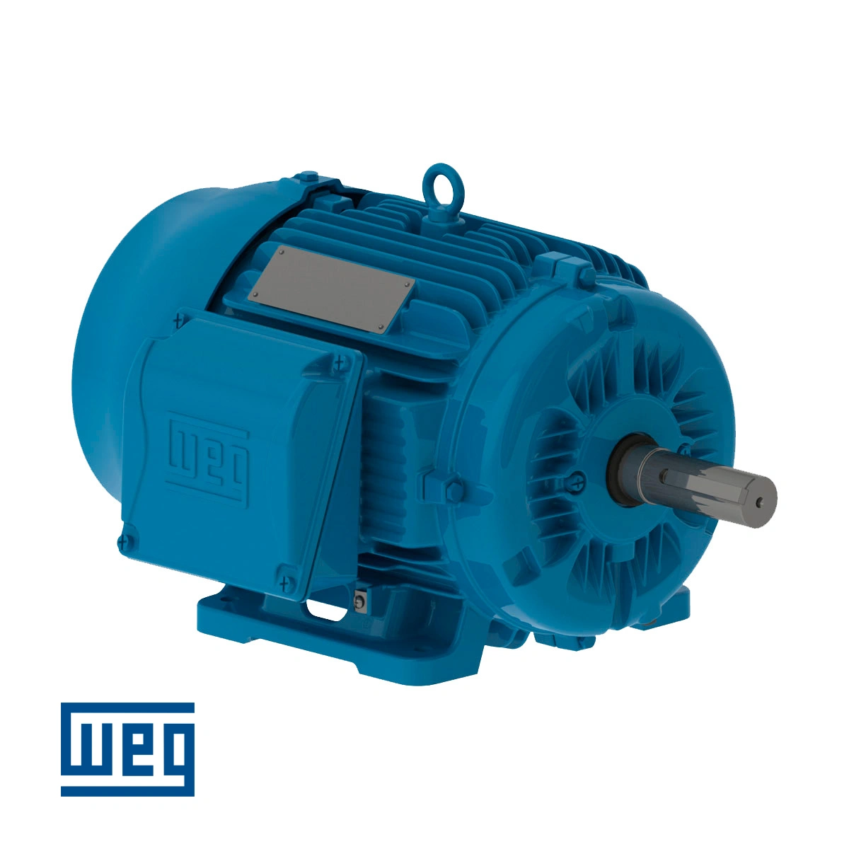 Μονοφασικοί Ηλεκτροκινητήρες χαμηλής τάσης IEC - WEG
