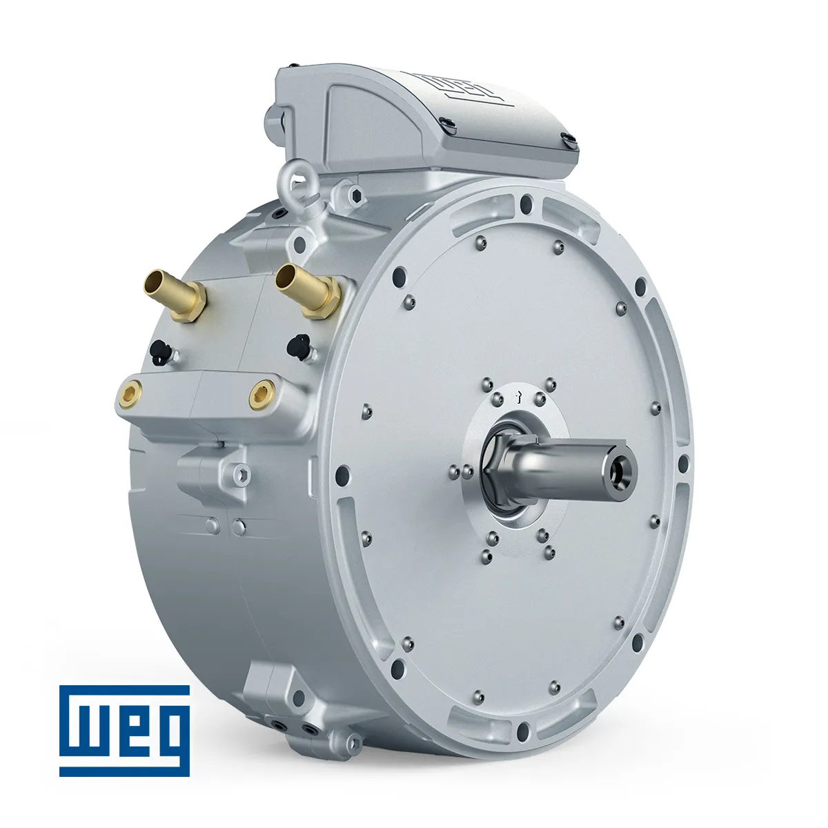 Κινητήρας Αξονικής Ροής (Axial Flux) - WEG