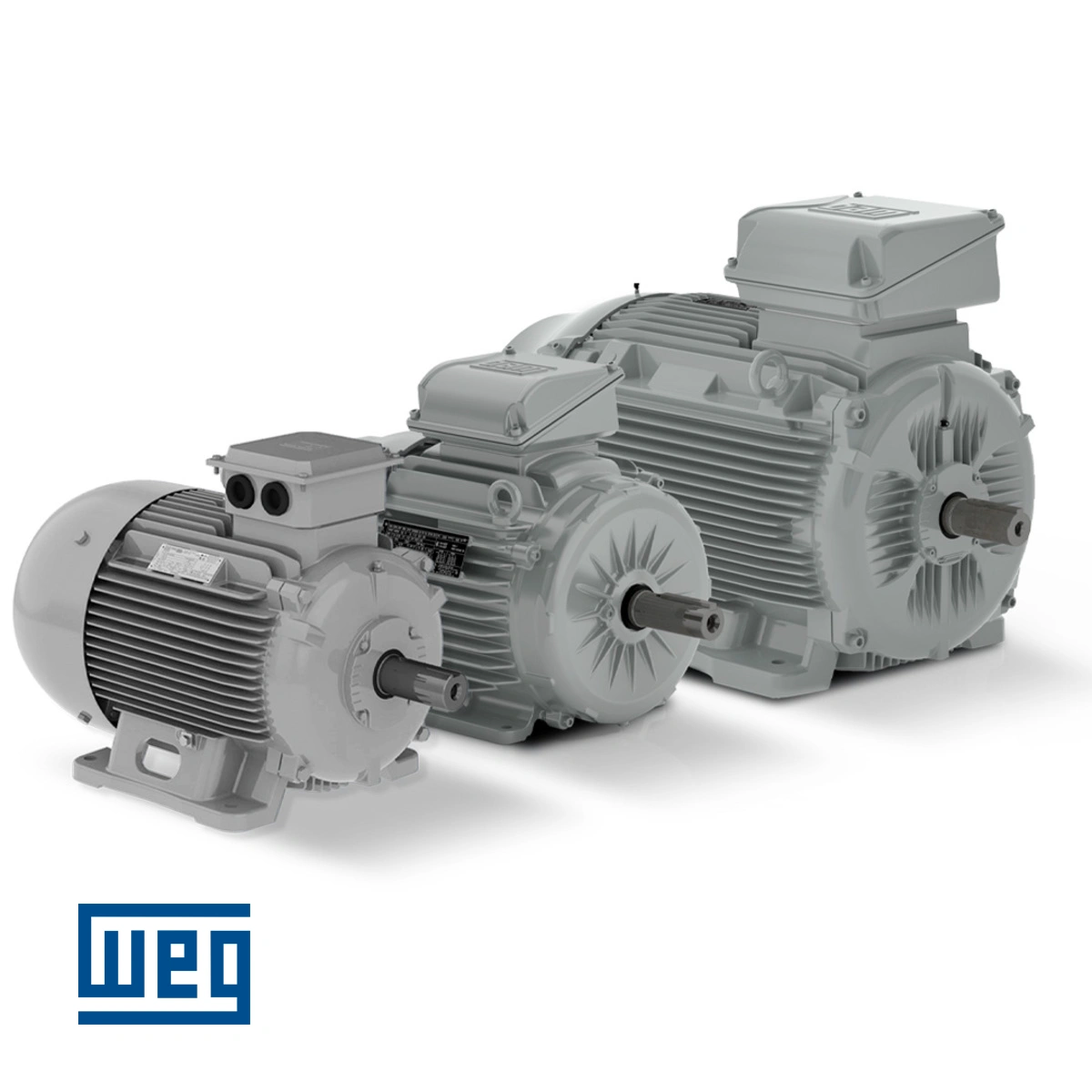 Τριφασικοί Ηλεκτροκινητήρες χαμηλής τάσης IEC - WEG