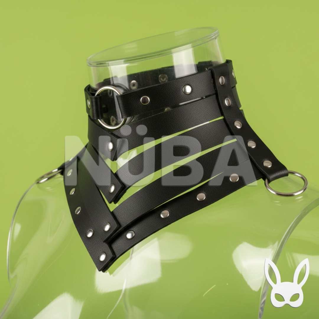 Collar 🖤 Iron Embrace